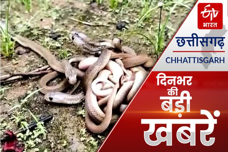 Chhattisgarh big news