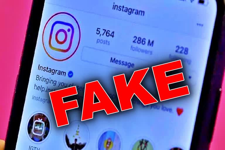 Fake Instagram Account