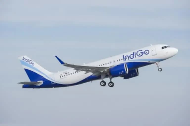 55 percent IndiGo domestic flights delayed as crew call sick on AI recruitment day; DGCA to probe