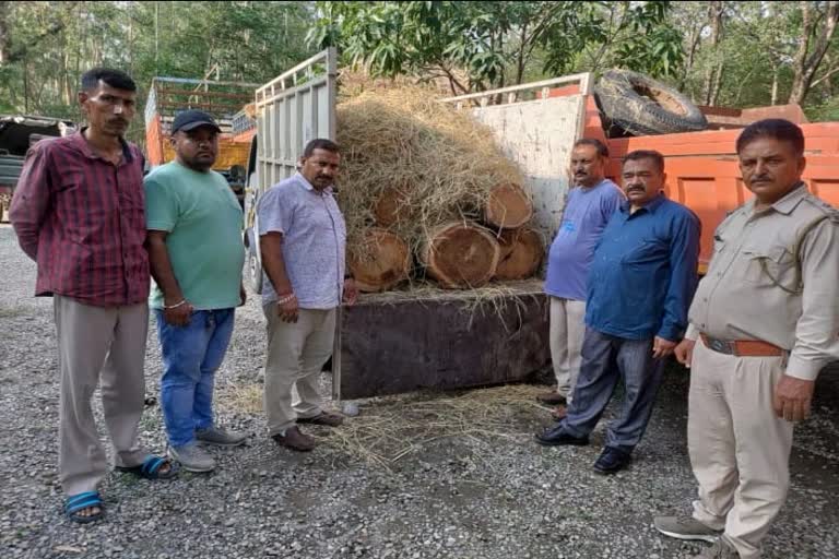 Forest department seized a vehicle with teak wood in Haldwani