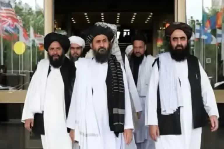 Taliban called ISIS a fake organization