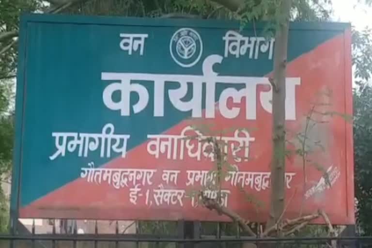 इस मॉनसून में UP में 33 करोड़ पौधे लगाने का लक्ष निर्धारित