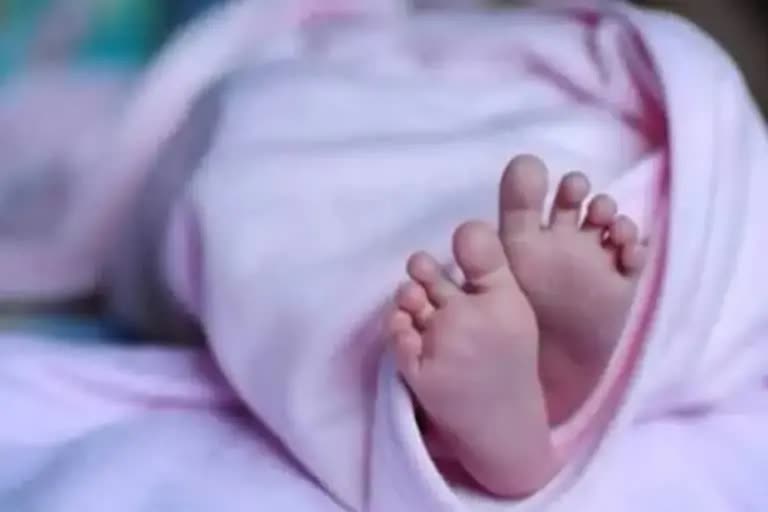 New born babys death after medicine injuncted  Infant mortality  death reports of new born babies  പാലക്കാട് പ്രസവത്തിനിടെ കുഞ്ഞ് മരിച്ച സംഭവം  ചികിത്സ പിഴവിനെ തുടര്‍ന്ന് കുഞ്ഞ് മരിച്ചു