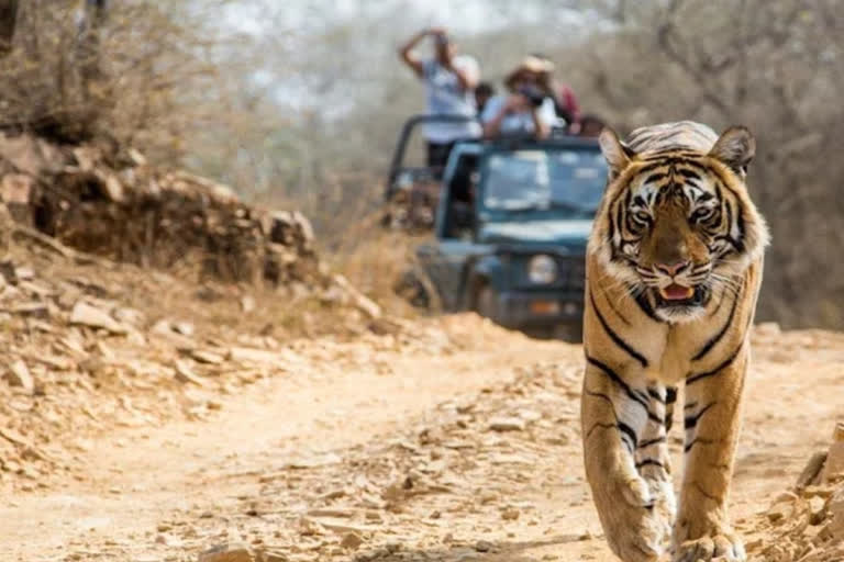 Corbett Tiger Reserve