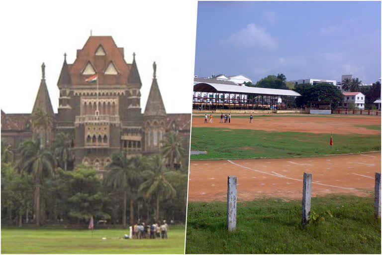 bombay high court to bcci  bombay high court on public grounds basic facilities issue  bcci  maharashtra cricket association  public ground faciliteis in maharashtra  മഹാരാഷ്‌ട്ര പൊതു മൈതാനങ്ങള്‍  ബോംബെ ഹൈക്കോടതി  ബിസസിഐ  മഹാരാഷ്‌ട്ര ക്രിക്കറ്റ് അസോസിയേഷന്‍