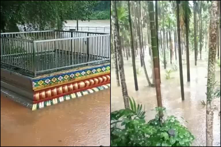 heavy rain in Dakshina Kannada District