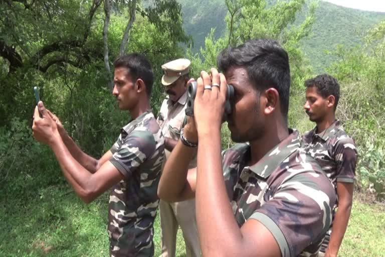 சிறுத்தை, புலிகளுக்கு தேவையான இரை விகிதம் சமனாக உள்ளது - வனத்துறை