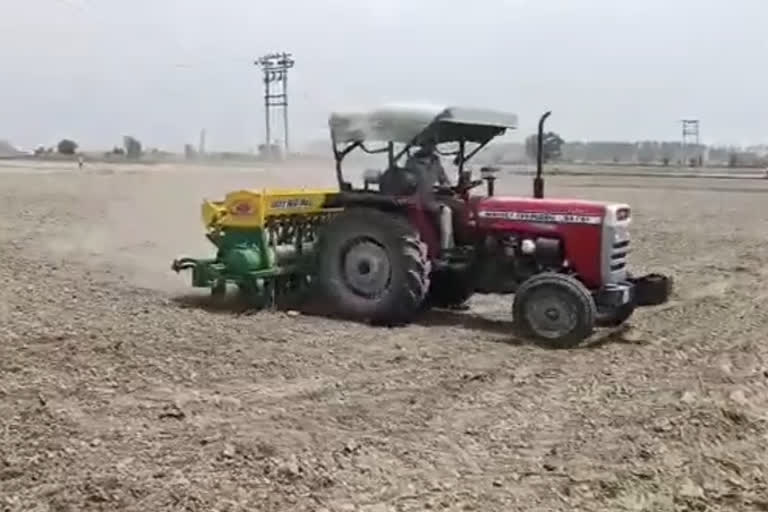 धान की सीधी बिजाई कर रहे किसान