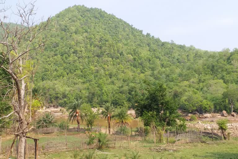 Farmers do not have access to cotton and paddy