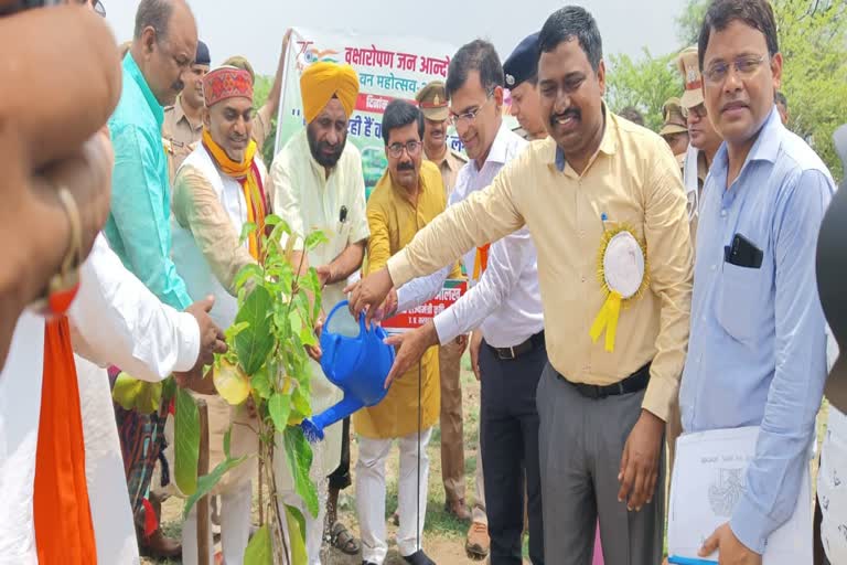 वृक्षारोपण अभियान में शामिल हुए राज्य मंत्री बलदेव सिंह ओखल