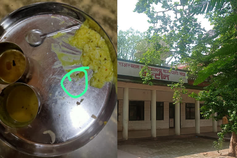 Insect in Jaipur Secretariat canteen food