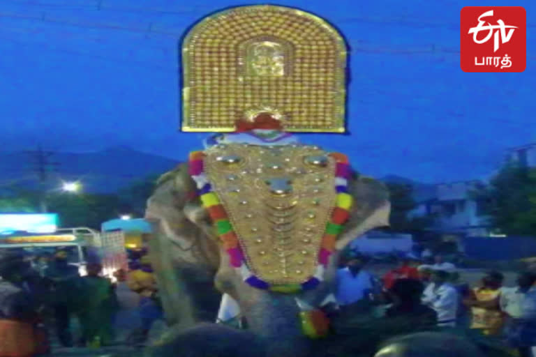 யானை மீது ஐயப்பன் சுவாமி - கோலாகலமாக நடந்த திருவீதி உலா