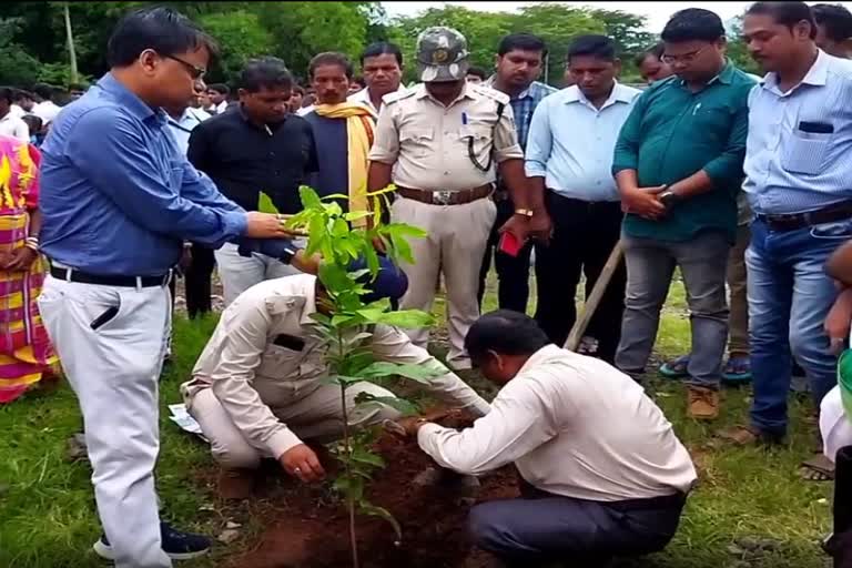 ରାଇରଙ୍ଗପୁର ଏସଏଲଏସ ସ୍ମାରକୀ ଆବାସିକ ବିଦ୍ୟାଳୟରେ ବନ ମହୋତ୍ସବ ପାଳିତ