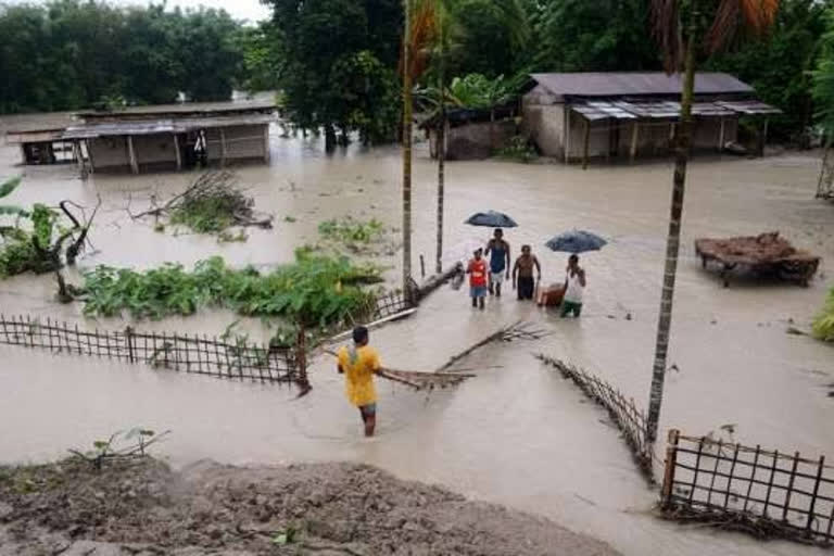 Flood devastated Assam