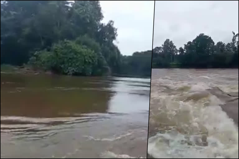 achankovil  pathanamthitta rain alert  pathanamthitta collectorate  അച്ഛന്‍ കോവില്‍  പത്തനംതിട്ട മഴമുന്നറിയിപ്പ്