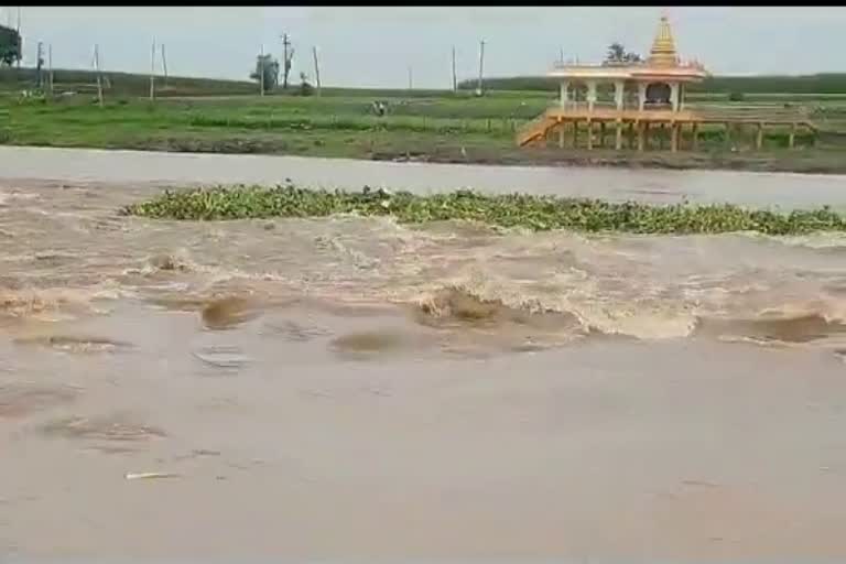 Incessant rains in Maharashtra; Bridges in Belgaum district are flooded