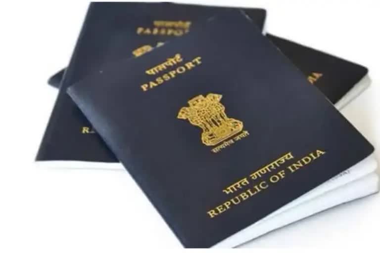 haryana youth going abroad