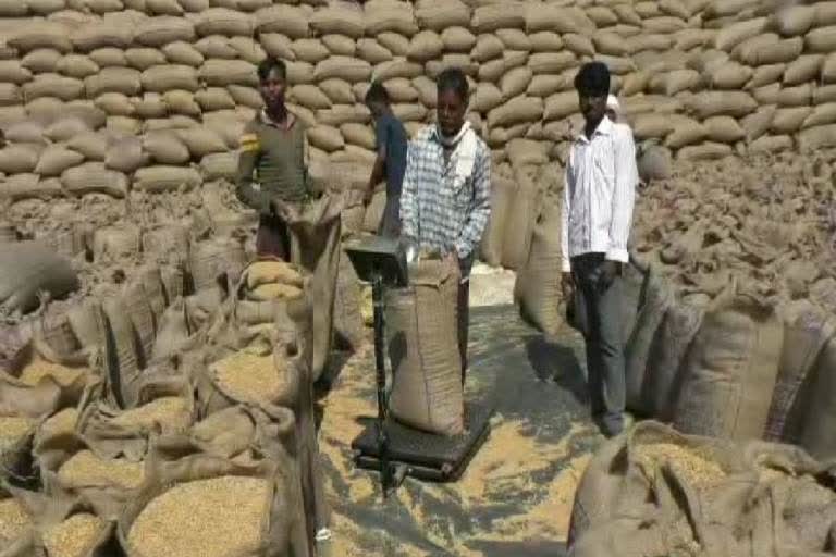 Paddy Procurement