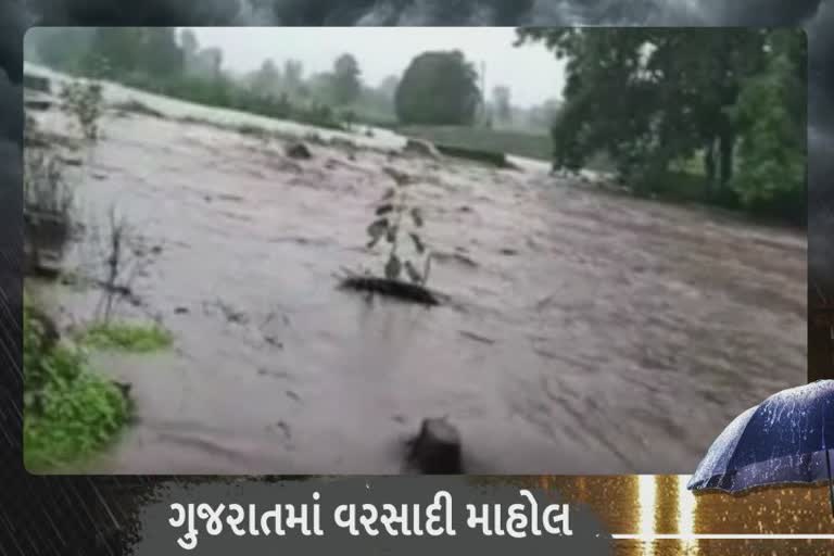 Rain in Surat : સુરતમાં ધોધમાર વરસાદને લઈને નદીઓ બની ગાંડીતુર
