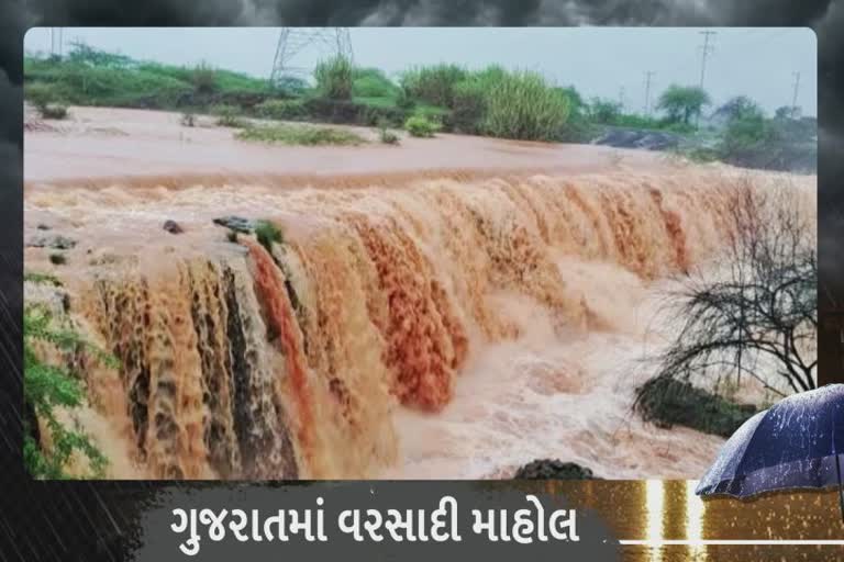 કચ્છના કેટલાક ડેમો નવા નીરથી છલોછલ છલકાતા ચારેય દિશામાં ફેલાવ્યો ઉત્સવ