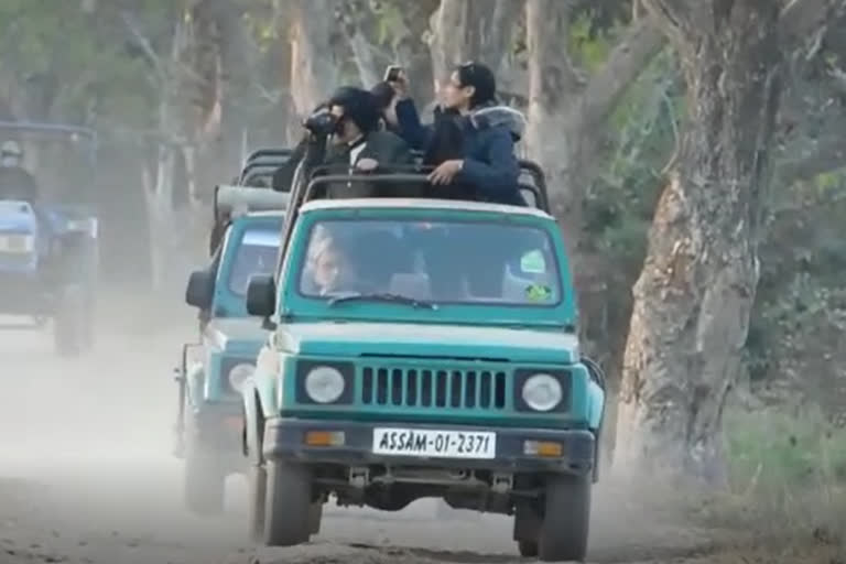 kaziranga jeep safari association is apprehensive