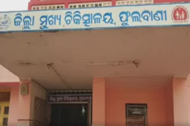 ସାପକାମୁଡାରେ ଦୁଇ ଭାଇ ମୃତ