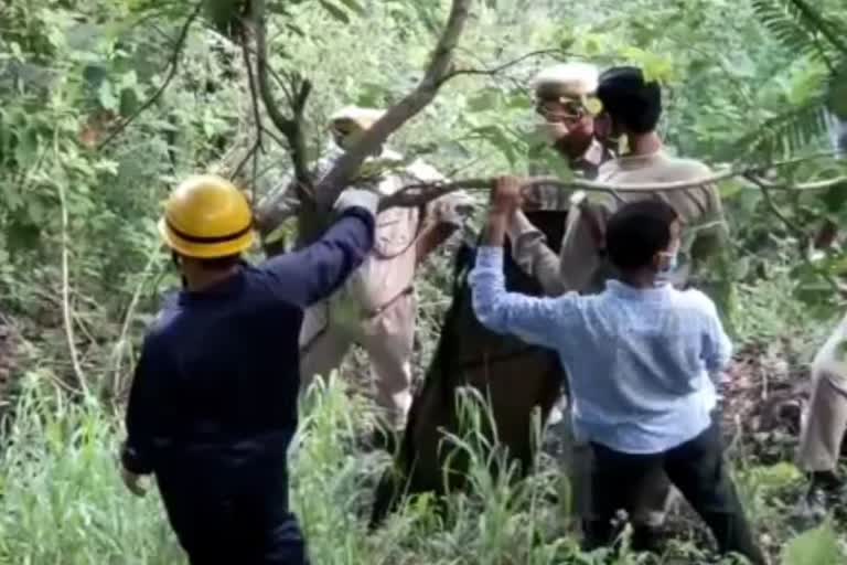 Panipat youth body found from Himachal