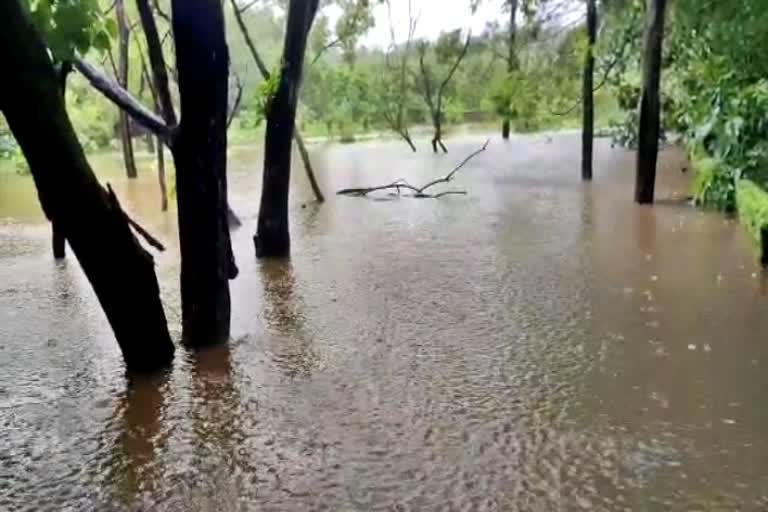 heavy-rain-manglore-rainwater-rushed-into-pilikula-zoo