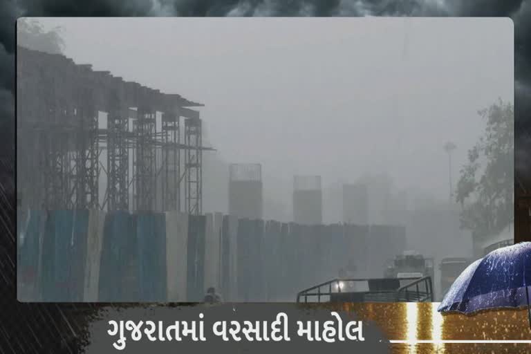 Rain in Bhavnagar: જિલ્લાના ડેમોમાં આવ્યા નવા નીરથી આટલો કુલ વરસાદ અને ડેમોની સપાટી