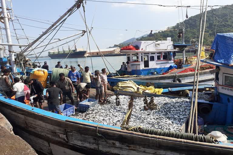 fish production in uttara kannada