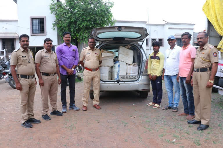 Cannabis Seized In Solapur