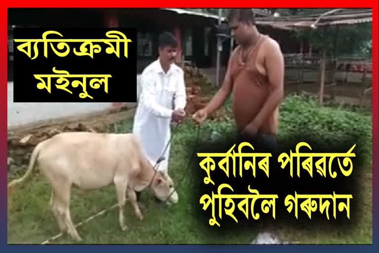 Muslim people donate cow instead of kurbani