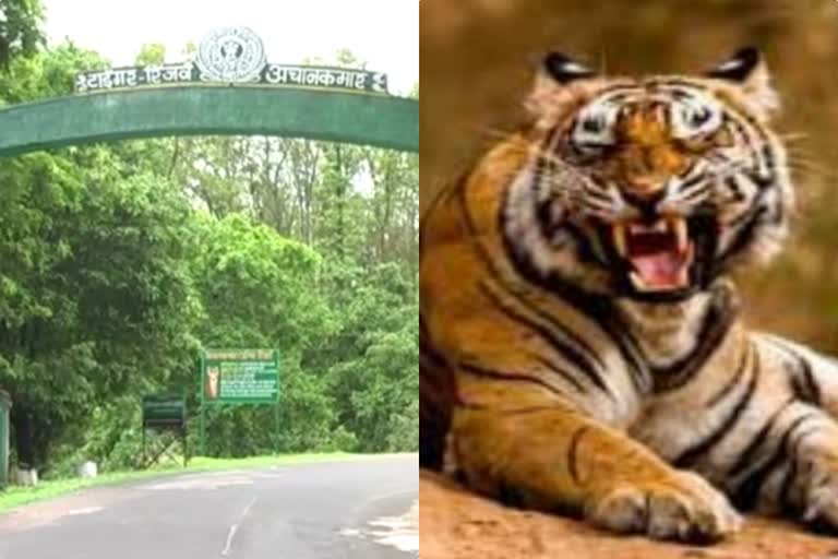 achanakmar tiger reserve