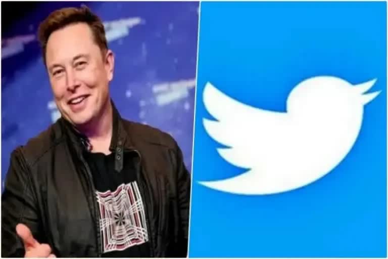 Elon Musk and Twitter