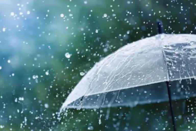 Rains in kerala: کیرالہ میں بھاری بارش کے لیے 11 اضلاع میں یلو الرٹ جاری