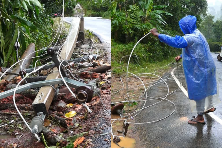 idukki monsoon  Tree falling on the Kallar Mankulam road  power outage  കല്ലാർ മാങ്കുളം റോഡിൽ മരം കടപുഴകി വീണു  ഇടുക്കി കാലവർഷം