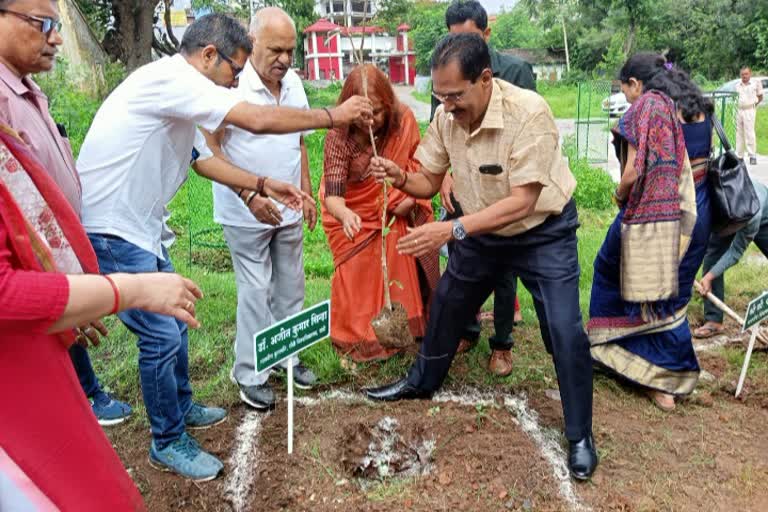 63 saplings planted on 63rd anniversary of Ranchi University