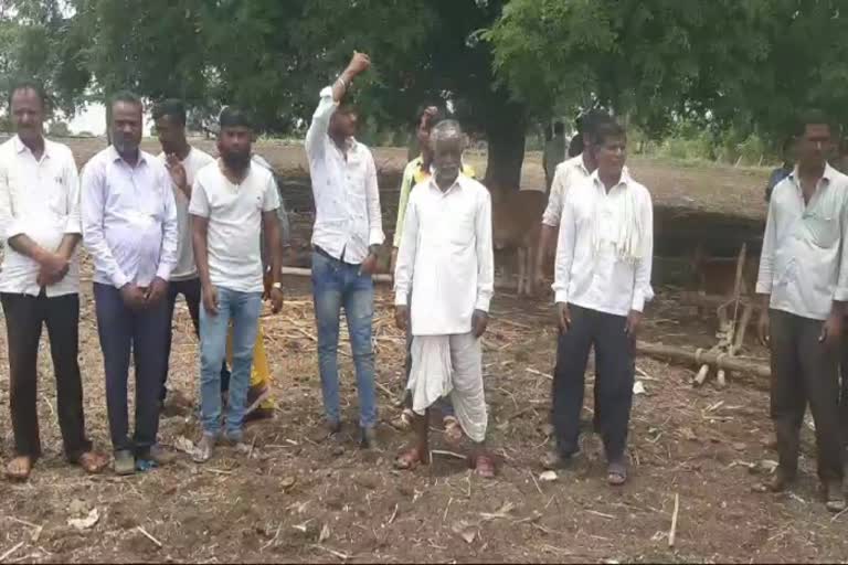 cow theft in Bhimalli village