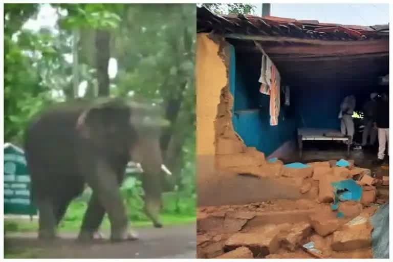 Balod Elephant Attack : ચાંદા હાથીઓના જૂથે મચાવી તબાહી, ટોળાએ એક ઘર બનાવ્યું નિશાન