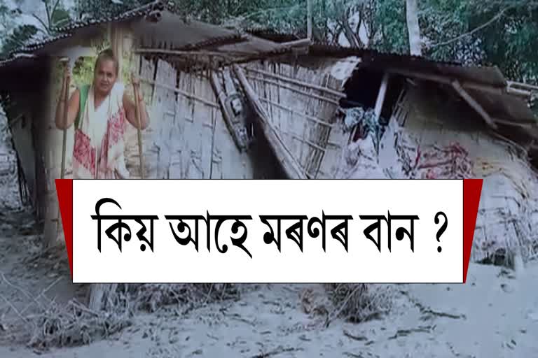 Flood damages in Nalbari