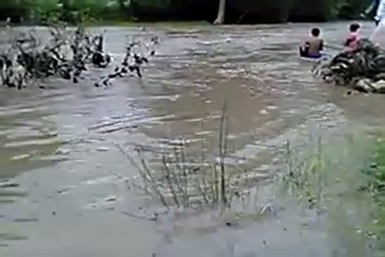 submerged bastar