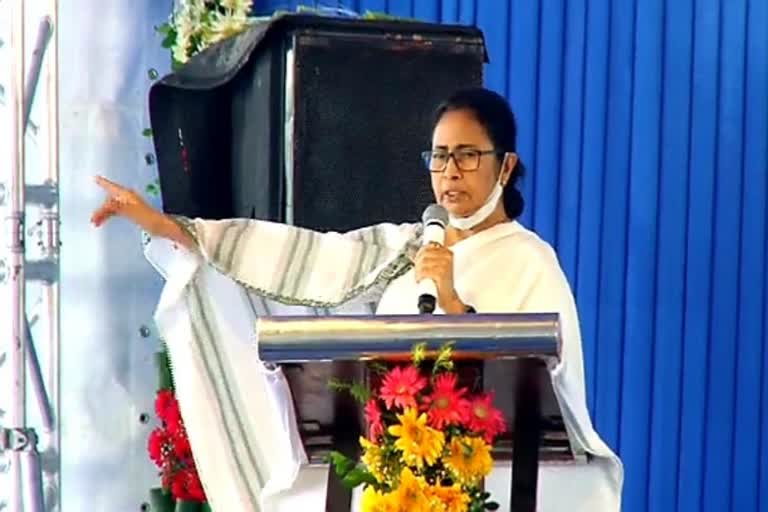 CM Mamata Banerjee News