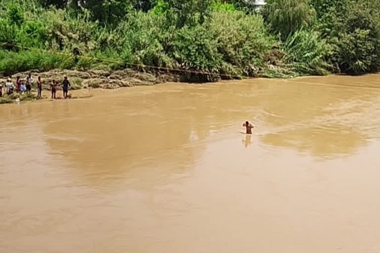 Migrant laborer jumped into the river in Mandi