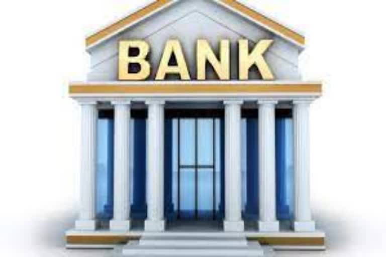 ncaer reports says central govt should privatize all public sector banks except sbi