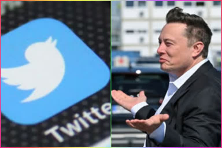 Twitter Sues Elon Musk