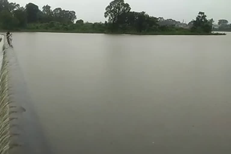 Two Brothers Drowned In River