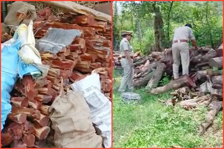 illegal khair wood in Raghunathpura