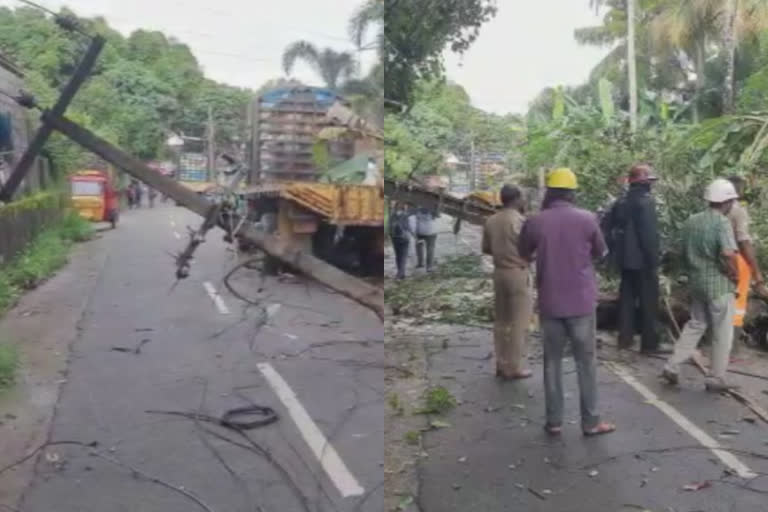 kottayam monsoon  kottayam monsoon heavy rain  heavy rain wrecks havoc in kottayam  kottayam heavy rain  കോട്ടയത്ത് കനത്ത മഴ  കനത്ത മഴയിൽ വ്യാപക നാശനഷ്‌ടം  മരം കടപുഴകി വീണ് അപകടം