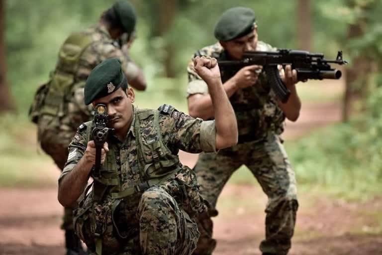 Cobra commandos seize over 600 IEDs and 495 detonators in Bihar