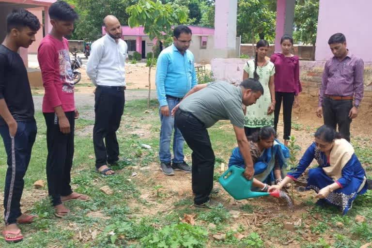 Green Koderma Clean Koderma